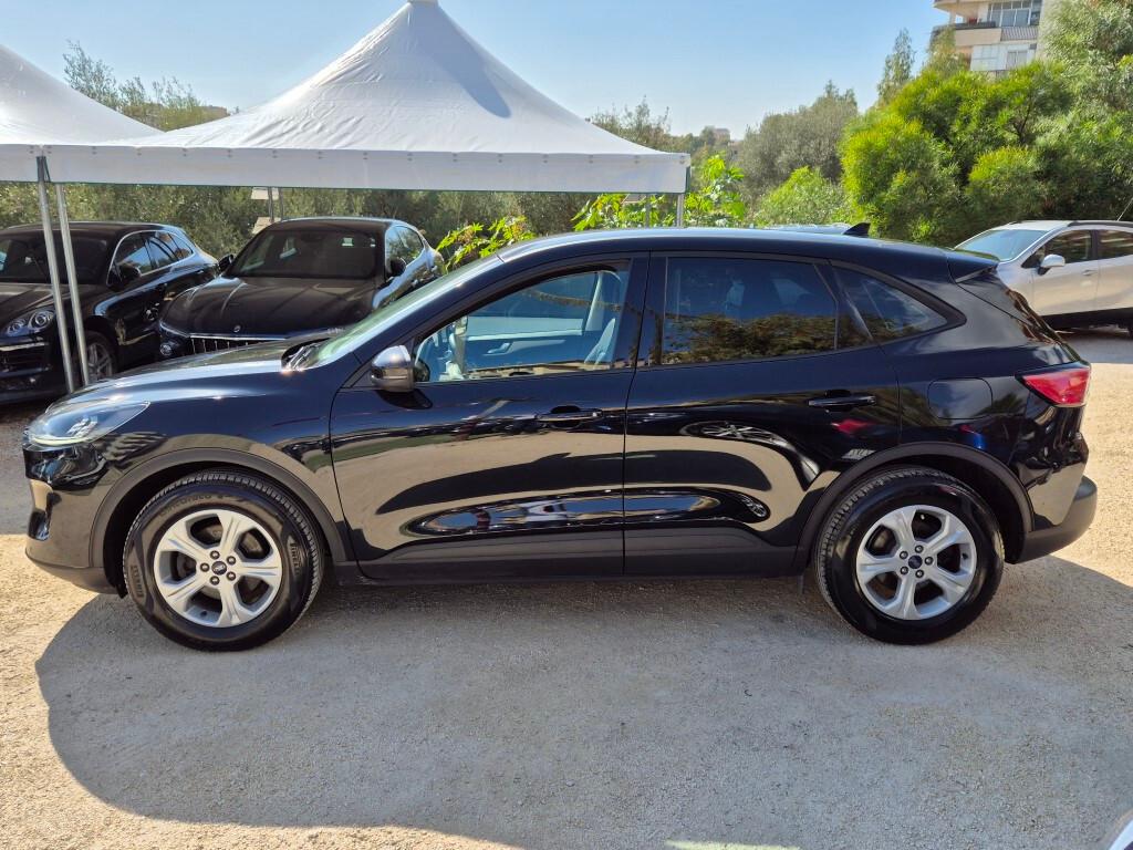 Ford Kuga 1.5 EcoBlue 120CV aut. Connect