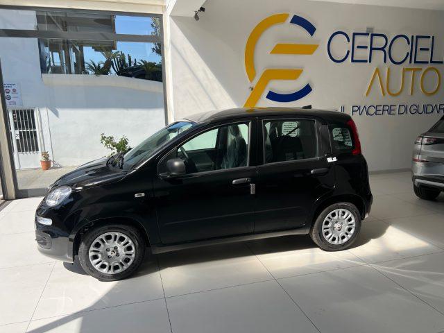 FIAT Panda 1.0 FireFly S&S Hybrid Icon tua da ?149,,00