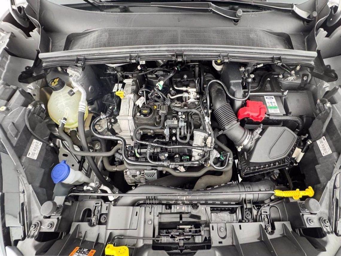 FORD Puma 1 0 ecoboost h titanium ses 125cv