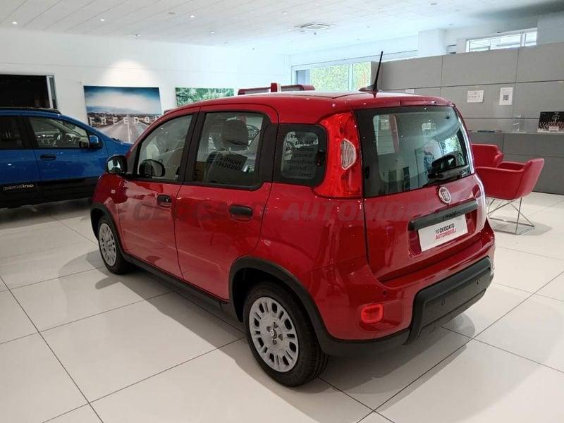 FIAT Panda Panda 1.0 70cv Hybrid Panda