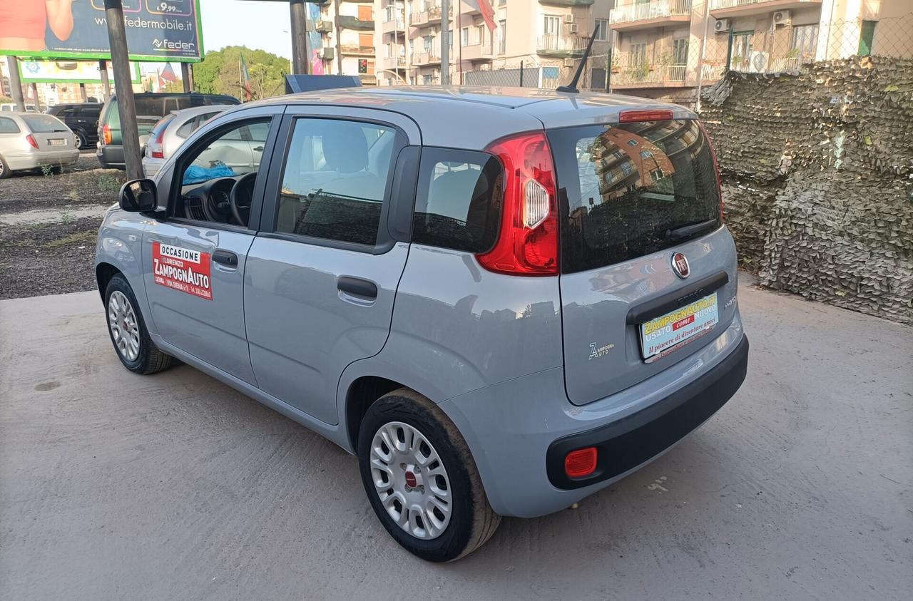 Fiat Panda 1.0 FireFly S&S Hybrid 2021 ZAMPOGNAUTO CT