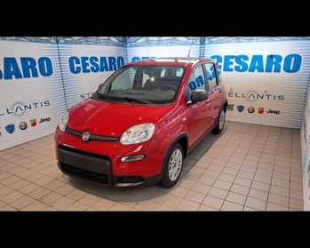 FIAT New Panda 1.0 firefly hybrid 70cv