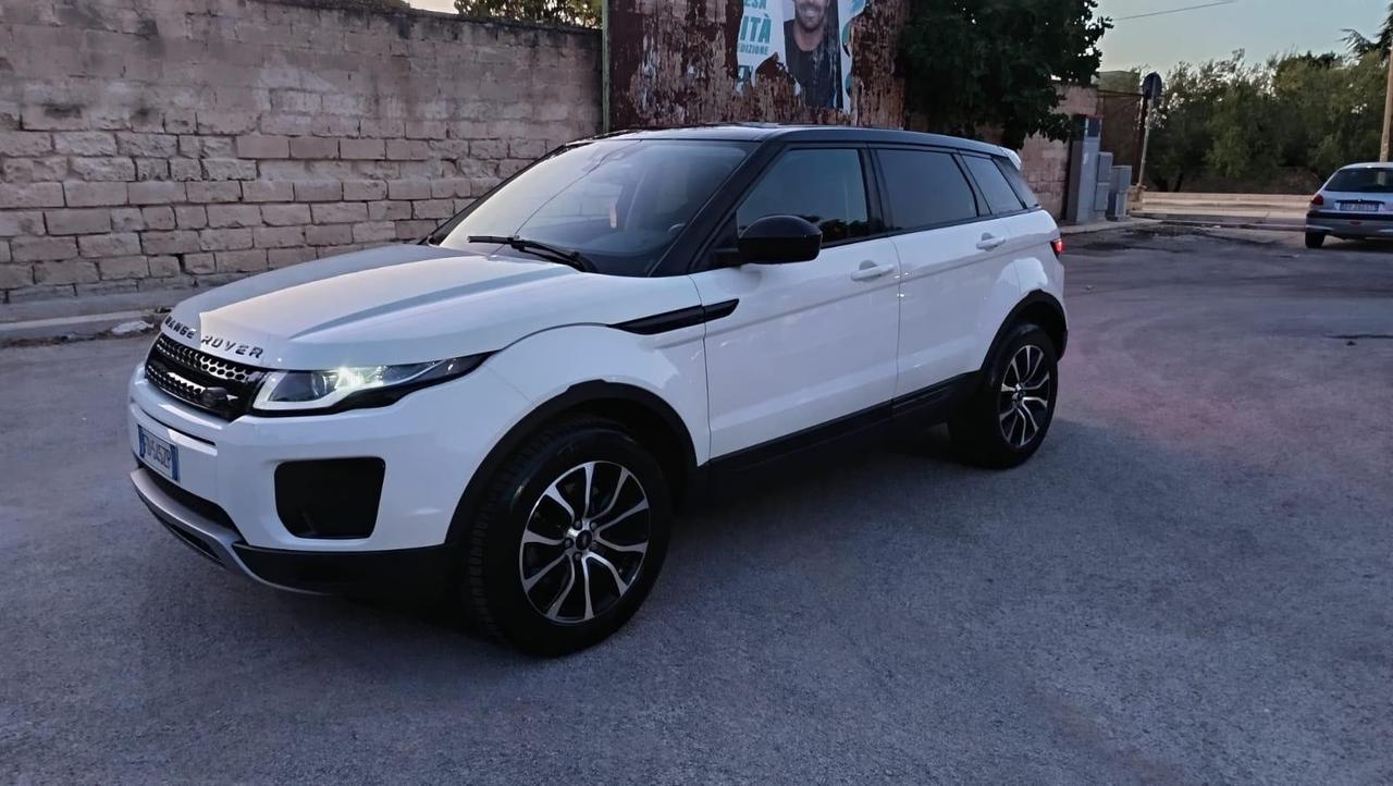 Land Rover Range Rover Evoque Range Rover Evoque 2.0 TD4 150 CV 5p. SE
