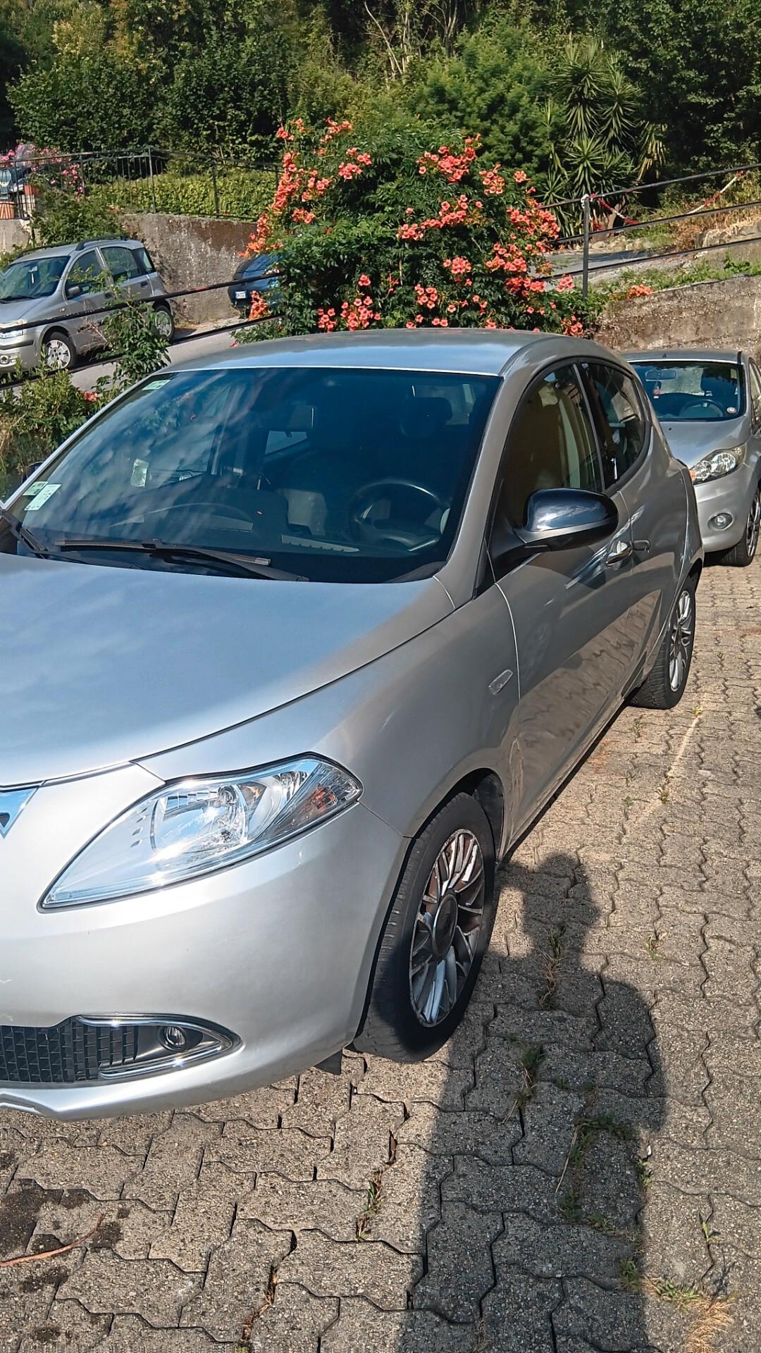 Lancia Ypsilon 0.9 TwinAir 85 CV 5 porte S&S Platinum