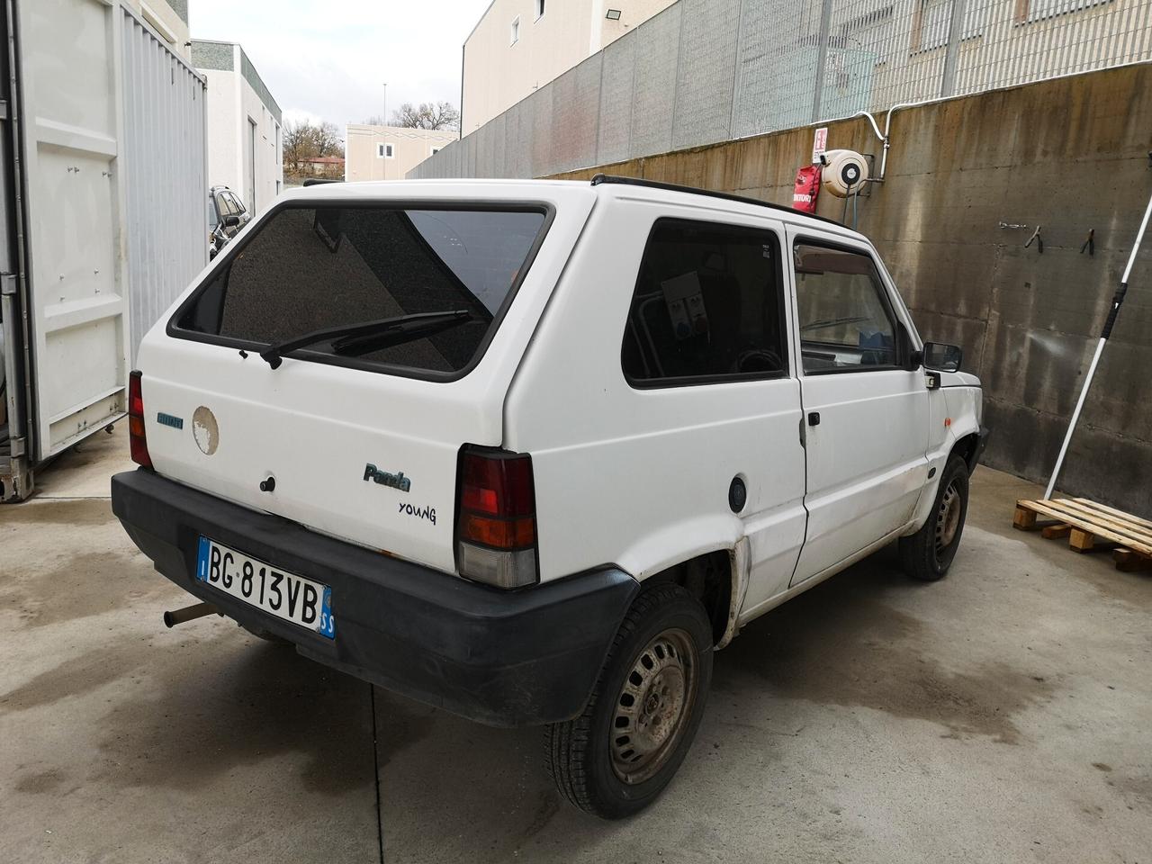 Fiat Panda 1100 i.e. cat Young