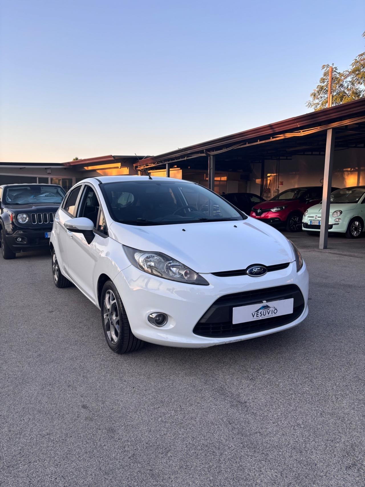 Ford Fiesta 1.4 90 CV GPL