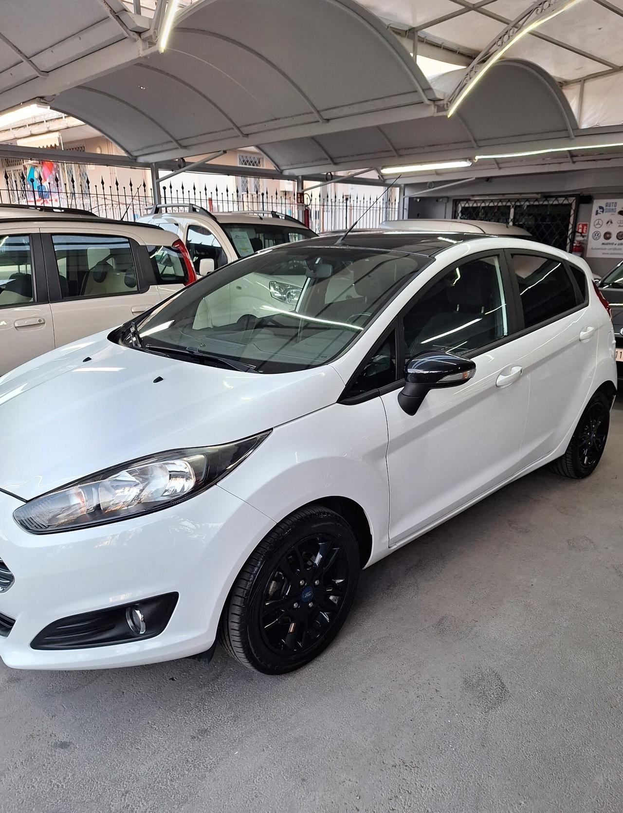 Ford Fiesta 1.5 TDCi 75CV 5 porte Black & White Edition E6