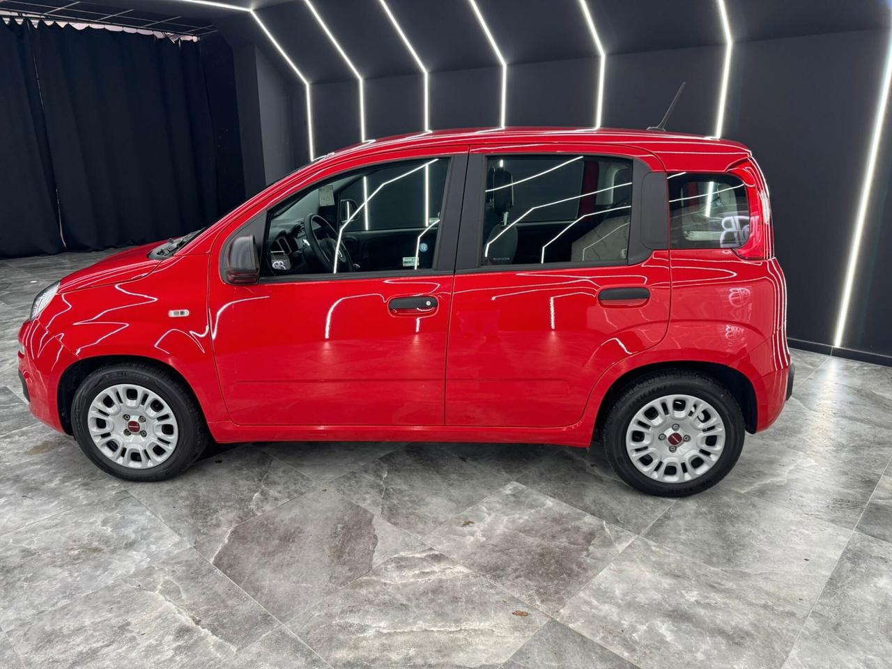 Fiat Panda III 1.0 Hybrid Easy Connect GPL