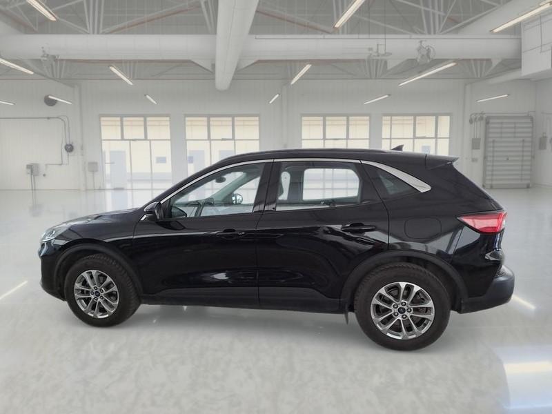 FORD KUGA 1.5 ECOBLUE 120 CV 2WD TITANIUM BUS. AUTO SUV
