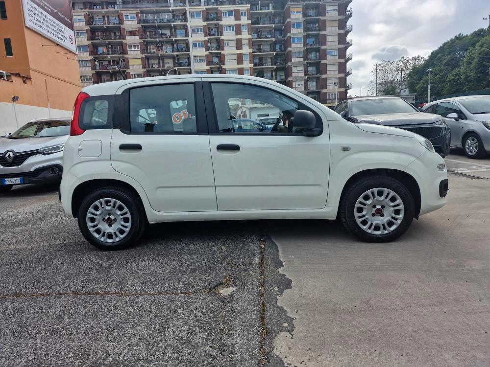 Fiat Panda 1.2 Easy easypower Gpl 69cv