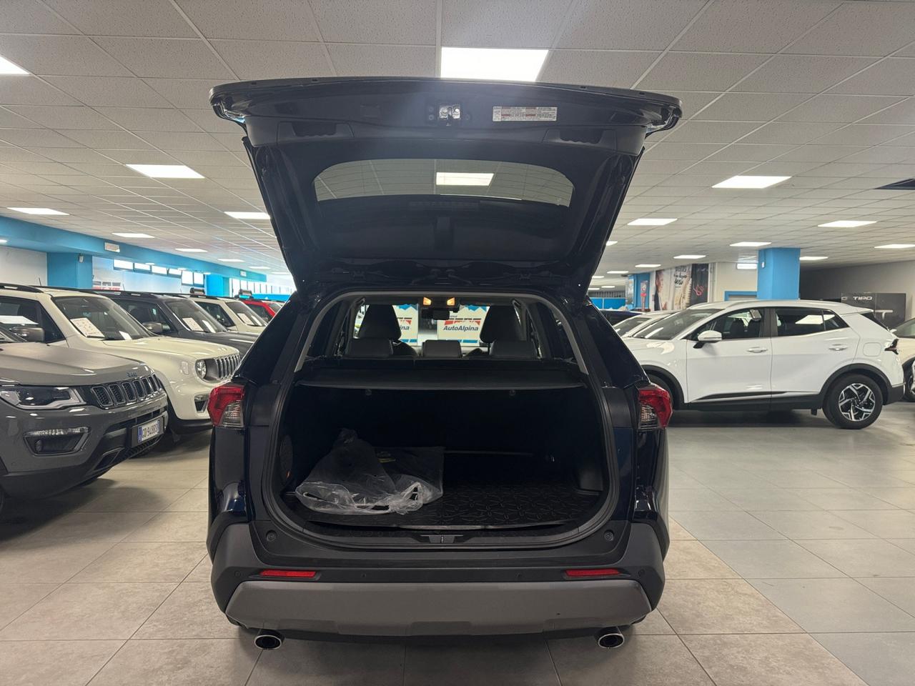 TOYOTA Rav4 2.5 vvt-ie h Lounge awd-i 222cv e-cvt