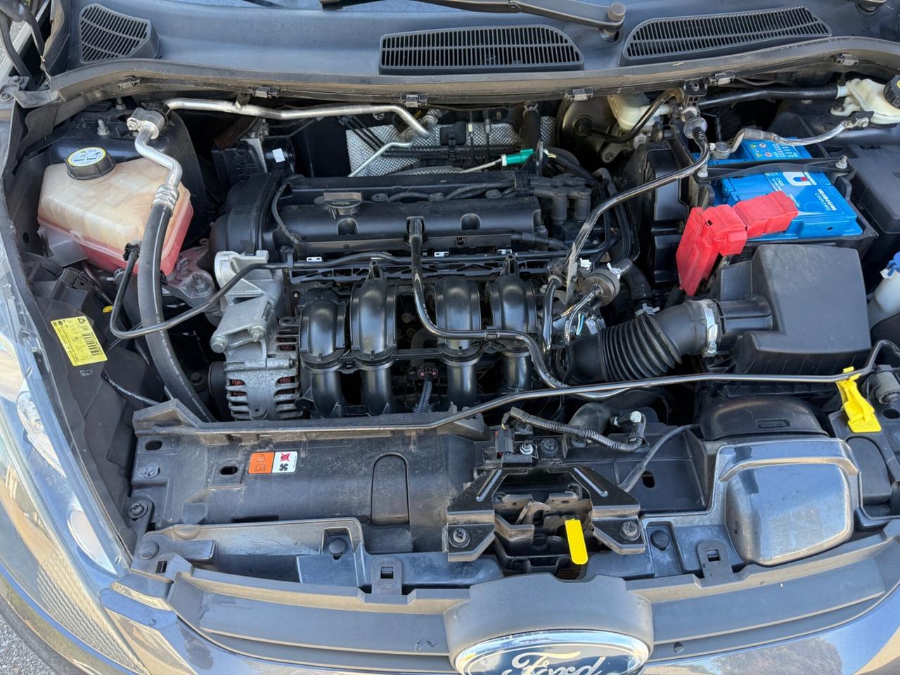 Ford Fiesta Fiesta+ 1.2 82CV 5 porte