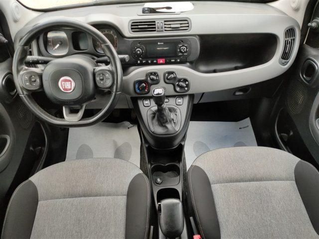 FIAT Panda New 1.2 Lounge CLIMA OK NEOPATENTATI