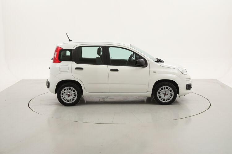 Fiat Panda Easy EasyPower BR808313 1.2 GPL 69CV