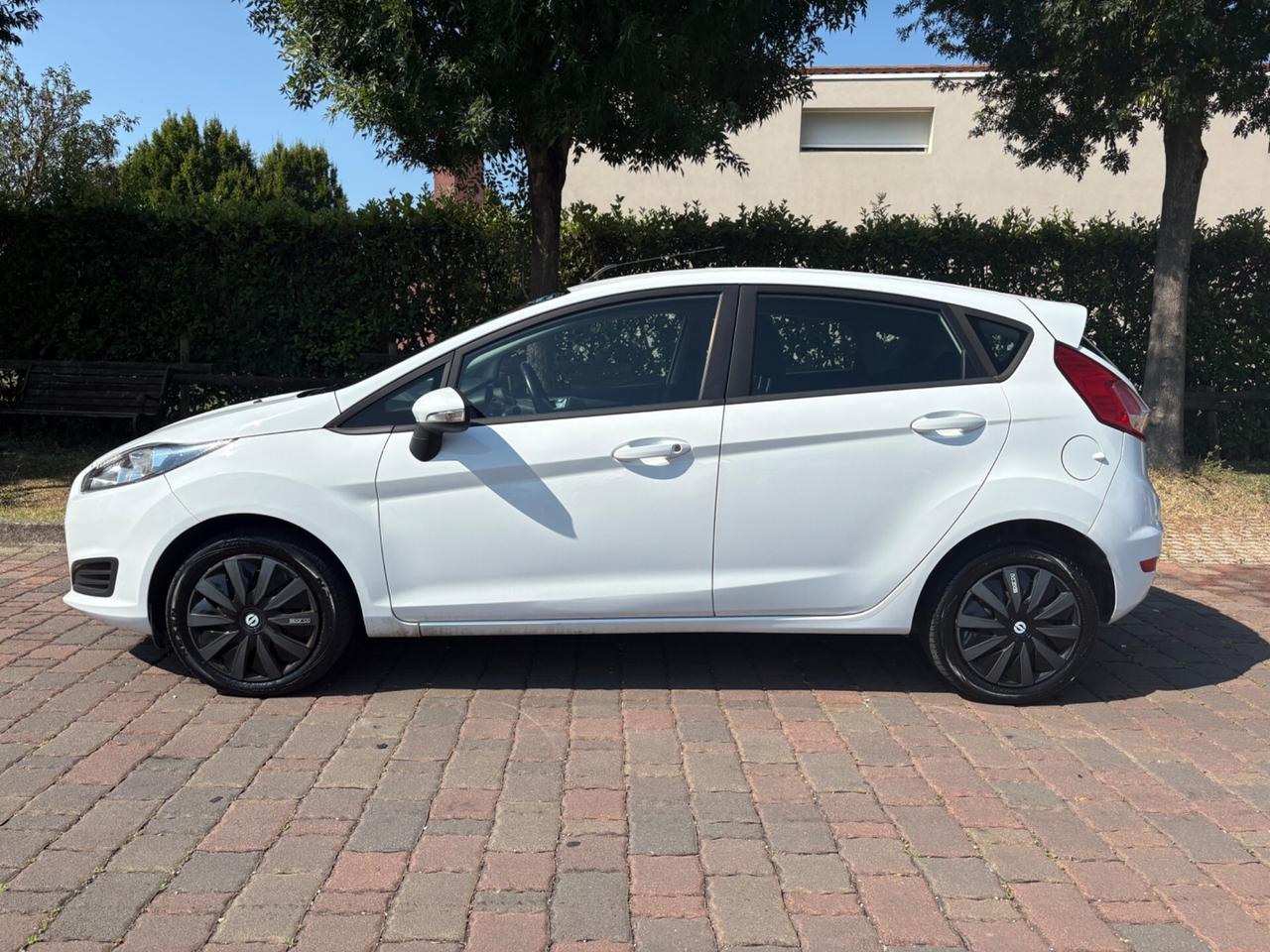 Ford Fiesta 1.4 5 porte Bz.- GPL Black & White Edition