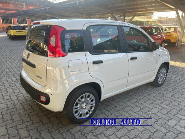 FIAT Panda 1.0 HYBRID 5 POSTI +PACK CITY KM 0