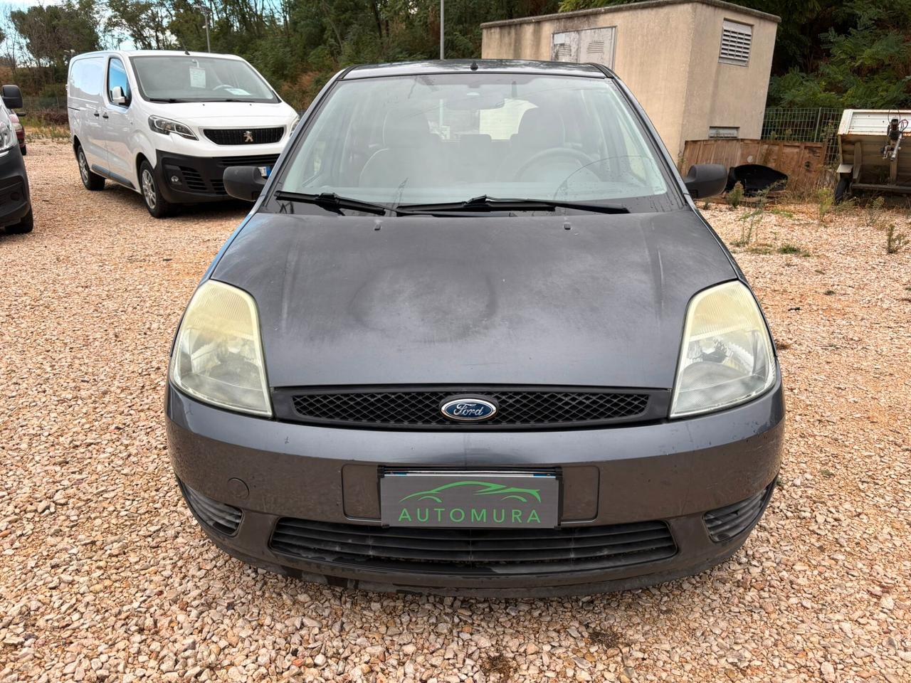 Ford Fiesta 1.2 16V 5p. Ambiente