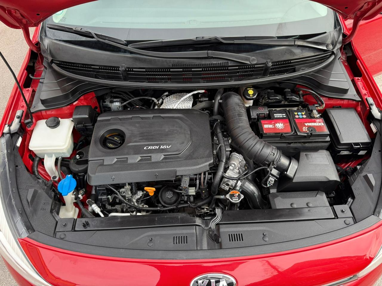 Kia Rio 1.4 CRDi 77cv Active - 2017