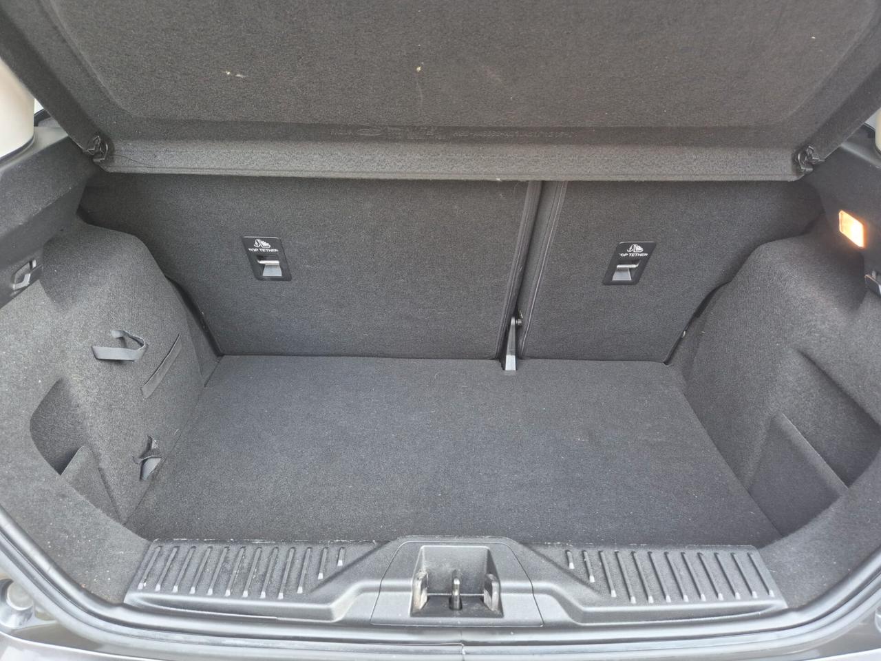 Ford Fiesta 1.5 TDCi 5 porte Vignale 2018