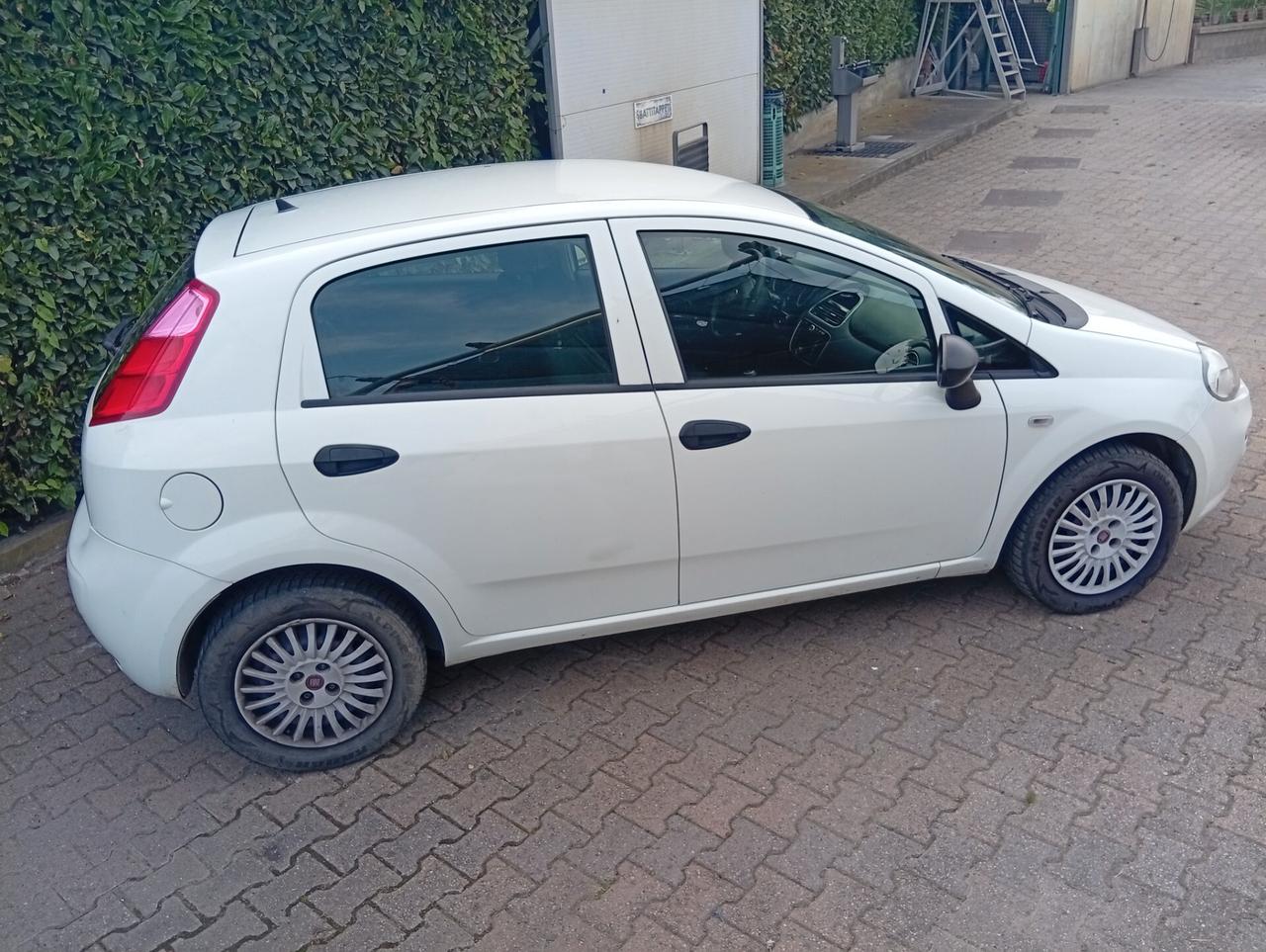 Fiat Punto 1.4 2016 5 porte Street gpl