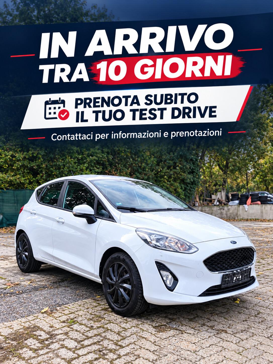 Ford Fiesta 1.0 Ecoboost 95 CV 5 porte Business