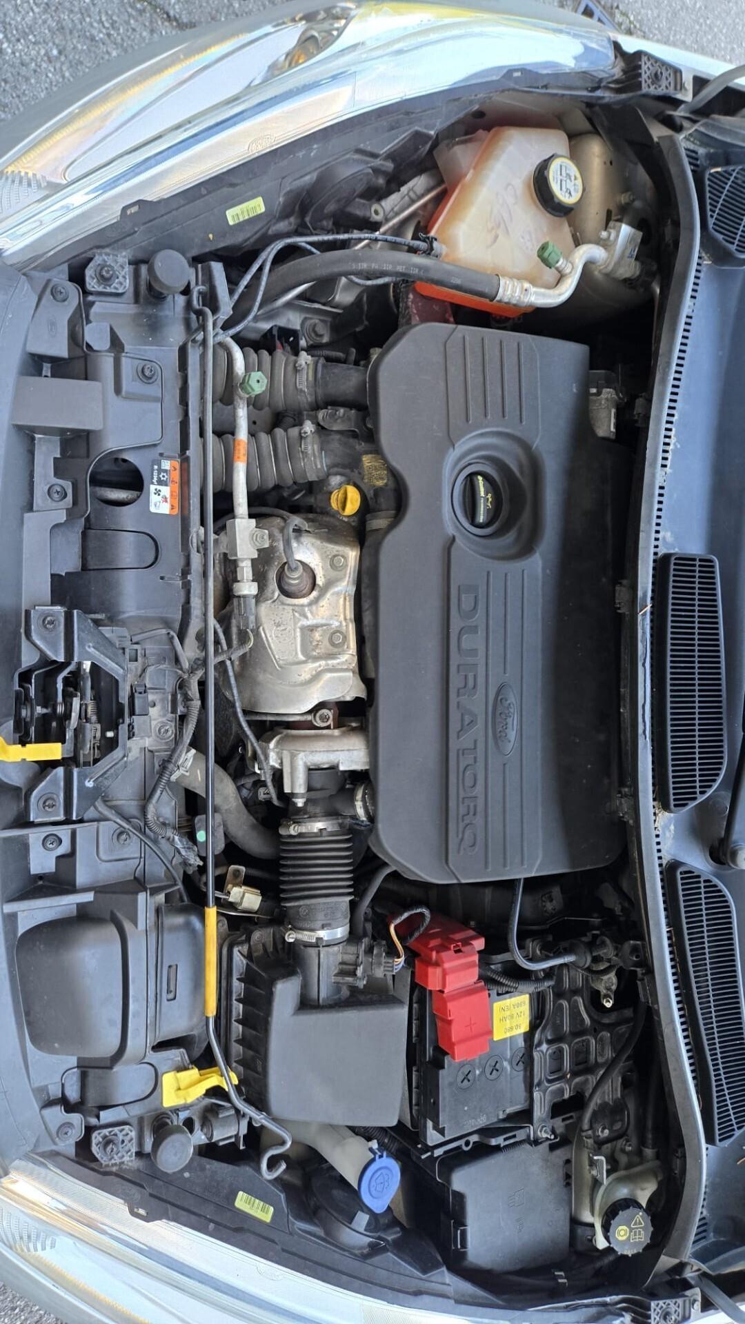 Ford Fiesta 1.5 TDCi 75CV 5 porte Titanium Neopate