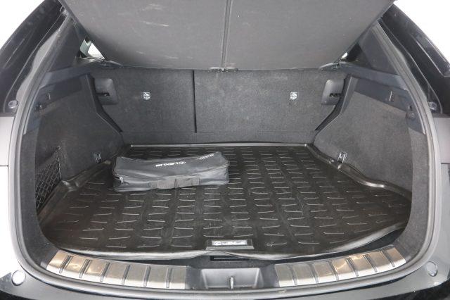 LEXUS Other NX NX Hybrid 4WD F-Sport