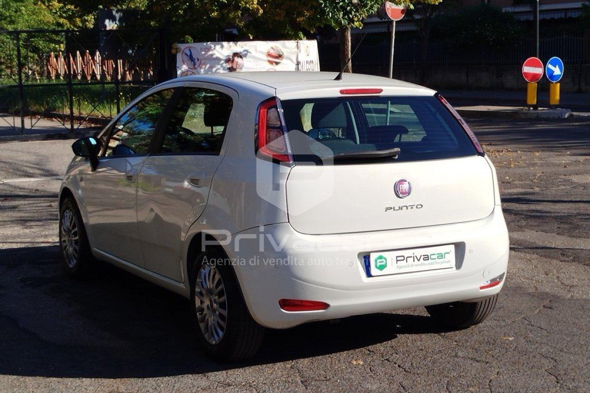 FIAT Punto 1.4 8V 5 porte Easypower Young