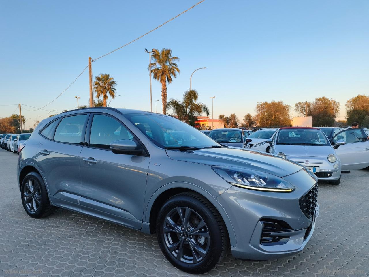 FORD Kuga 1.5 EcoBlue 120 CV aut. 2WD ST-Line