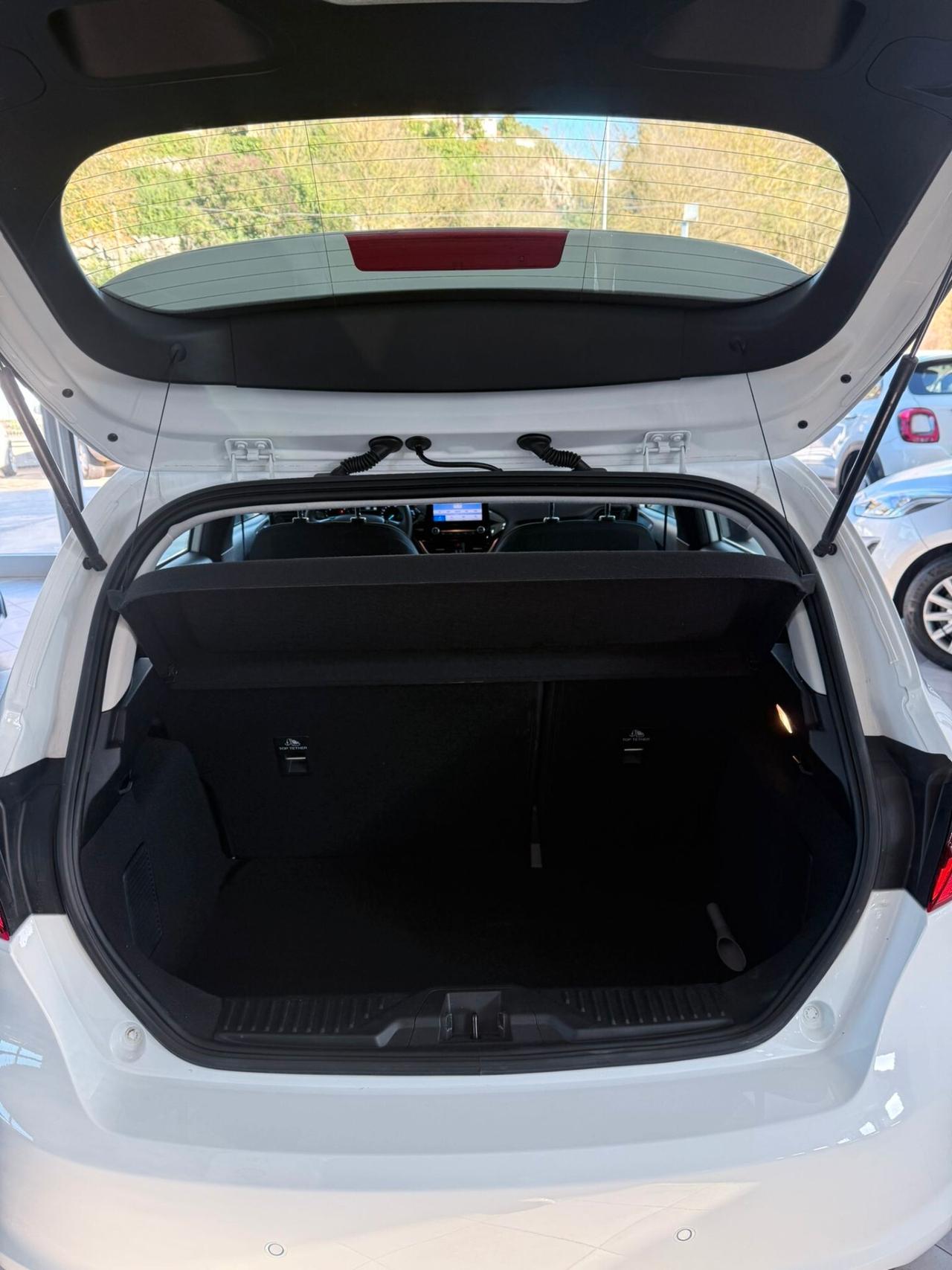 Ford Fiesta 1.5 EcoBlue 5 porte Business