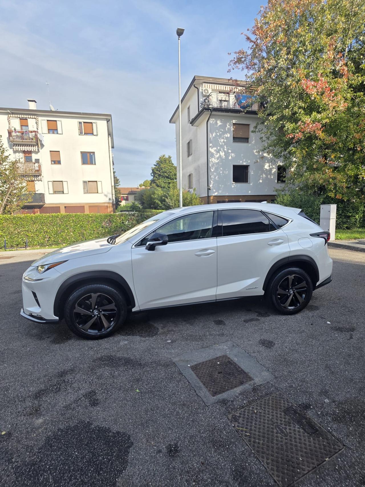 Lexus NX 300h Hybrid 4WD Premium