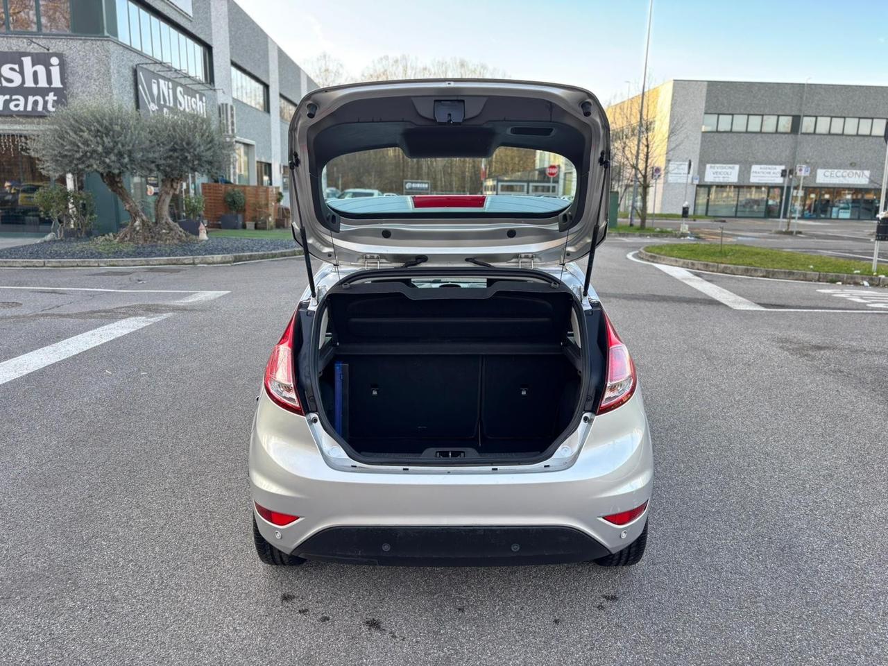 Ford Fiesta 1.0 EcoBoost 100CV 5 porte Titanium