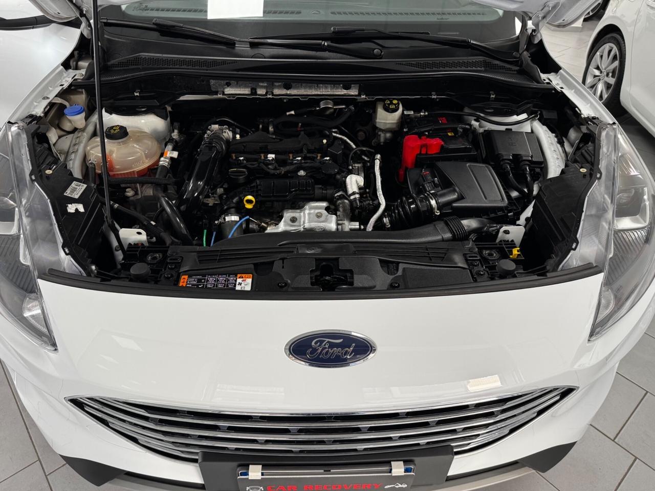 Ford Kuga 1.5 EcoBlue 120 CV 2WD Titanium