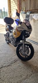 YAMAHA TDM 850 Maniacale