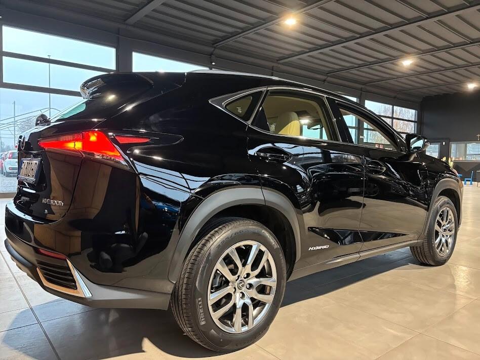 Lexus NX 300h Hybrid 4WD Executive 155cv