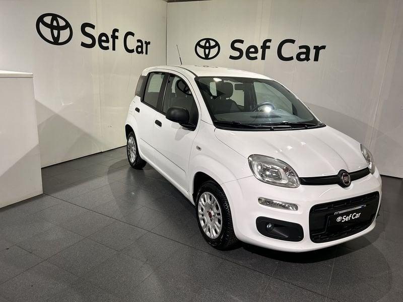 FIAT Panda Panda 1.2 Easy