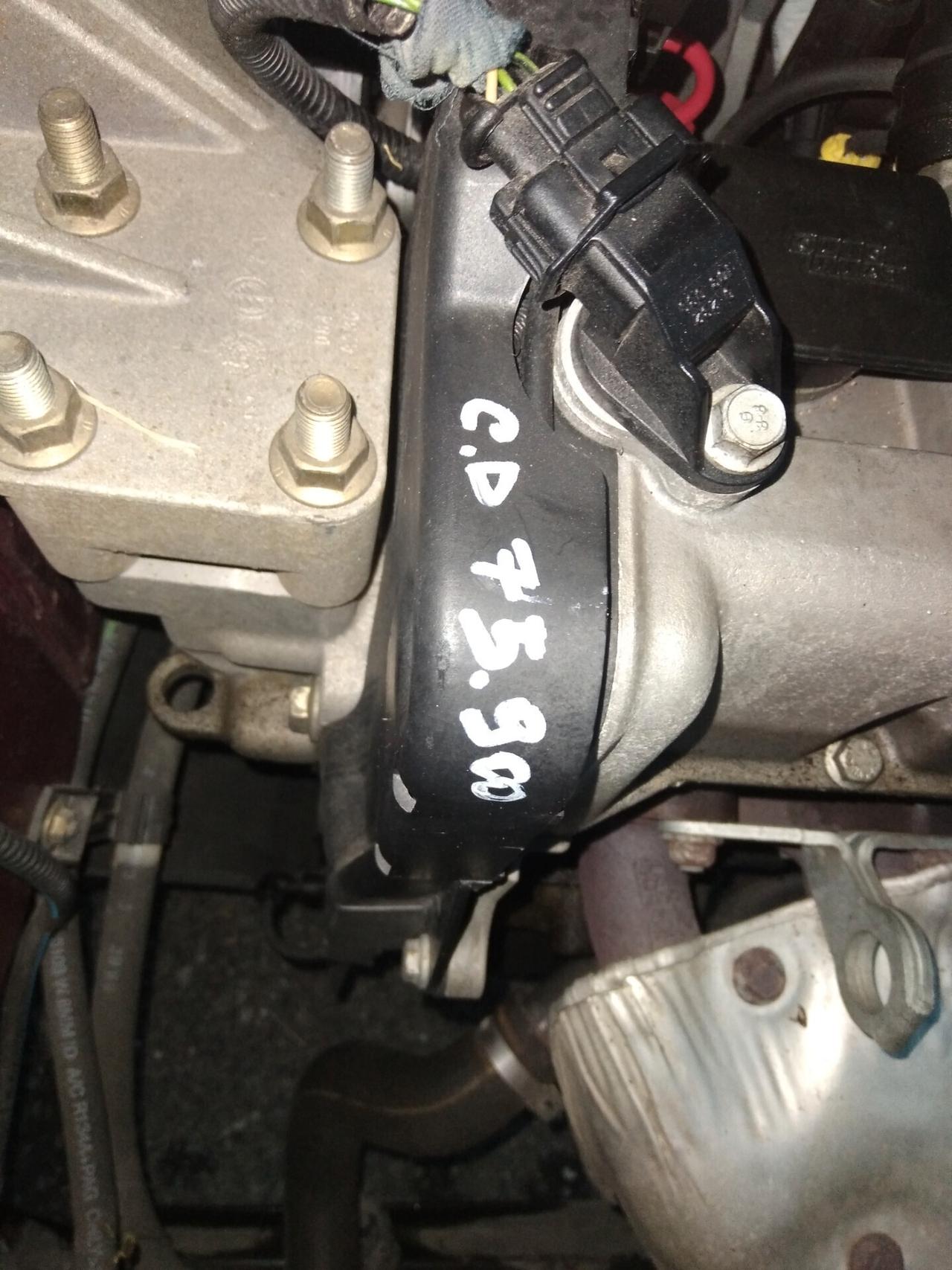 Fiat Punto 1.2i 60cv cat 5 porte ELX x neopatentati