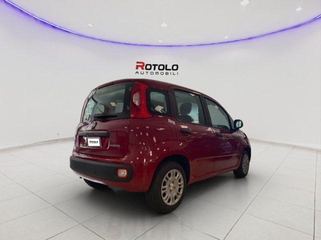 FIAT Panda 1.0 FireFly S&S Hybrid SENZA FINANZIAMENTO