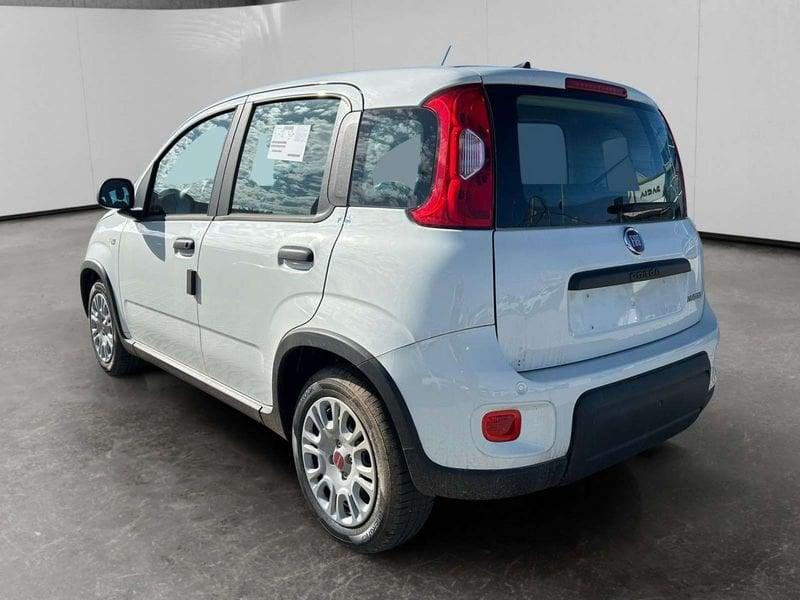 FIAT Panda 1.0 firefly hybrid s&s 70cv