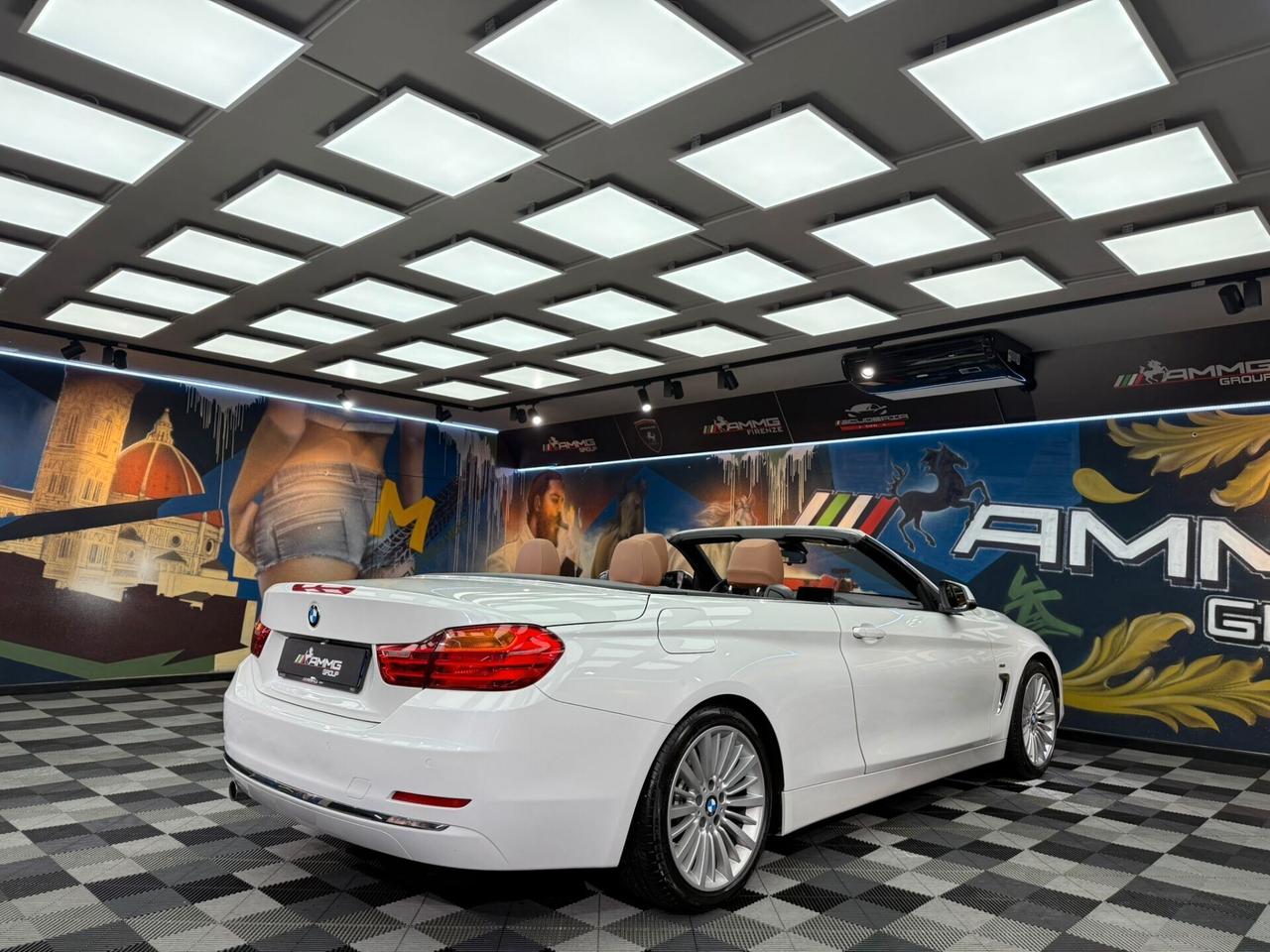 Bmw 420 420d Cabrio (730)