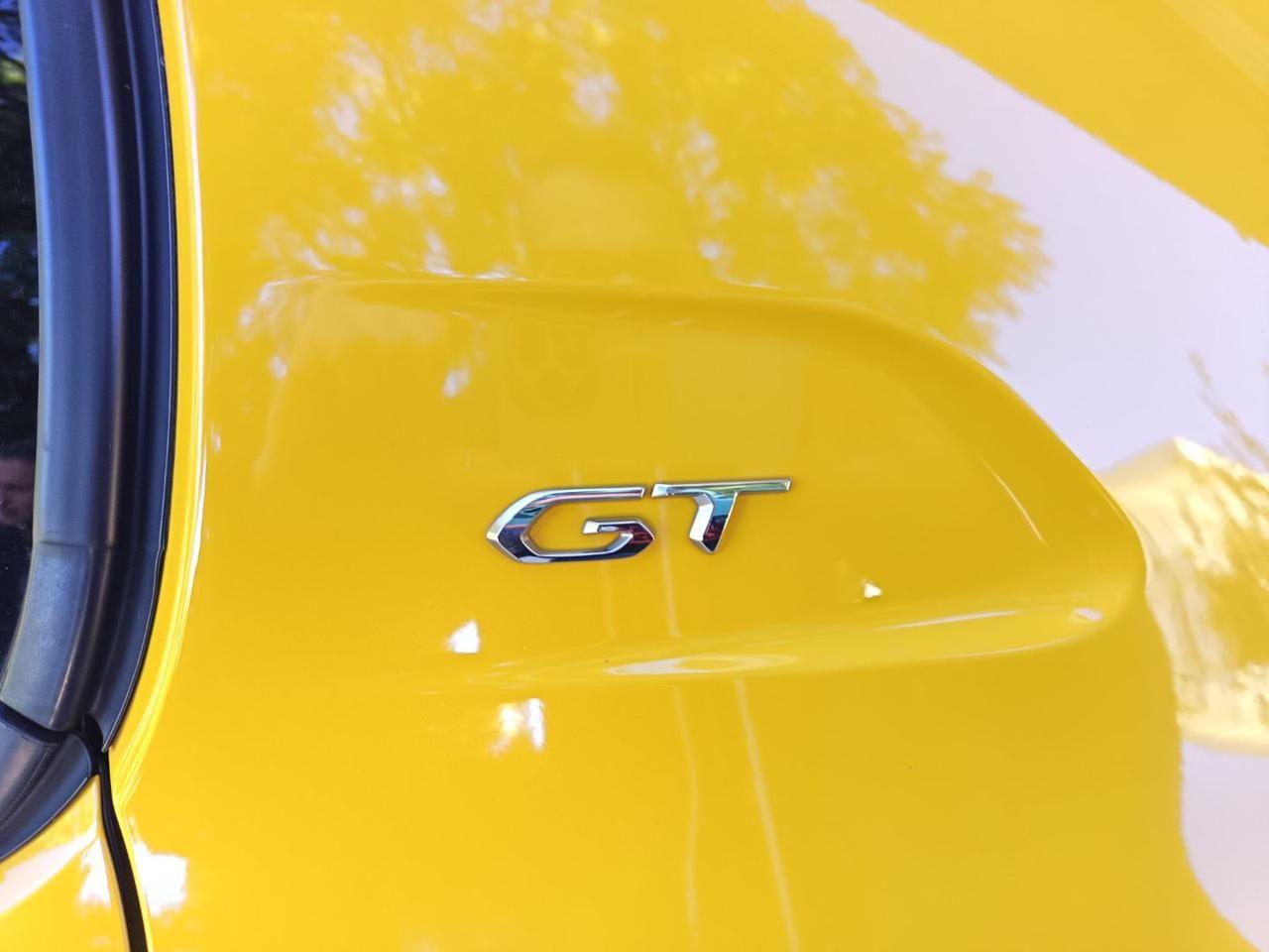 PEUGEOT 208 BlueHDi 100 Stop&Start 5 porte GT Pack