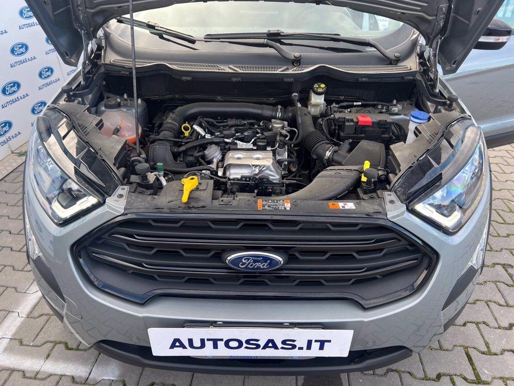 FORD EcoSport 1.0 ecoboost Active s&s 125cv del 2021