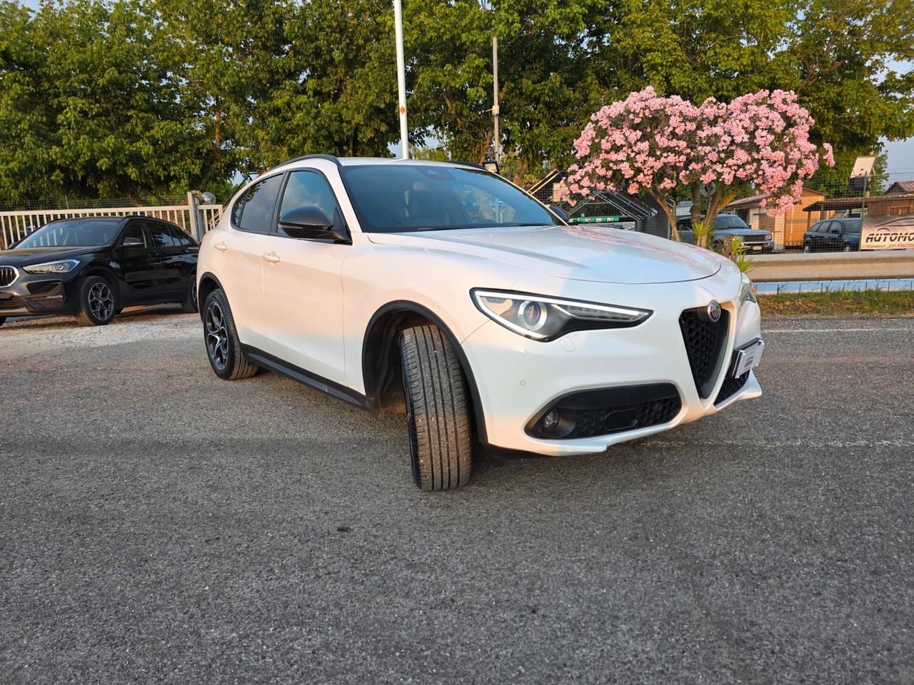 Alfa Romeo Stelvio 2.2 Turbodiesel 190 CV AT8 Q4