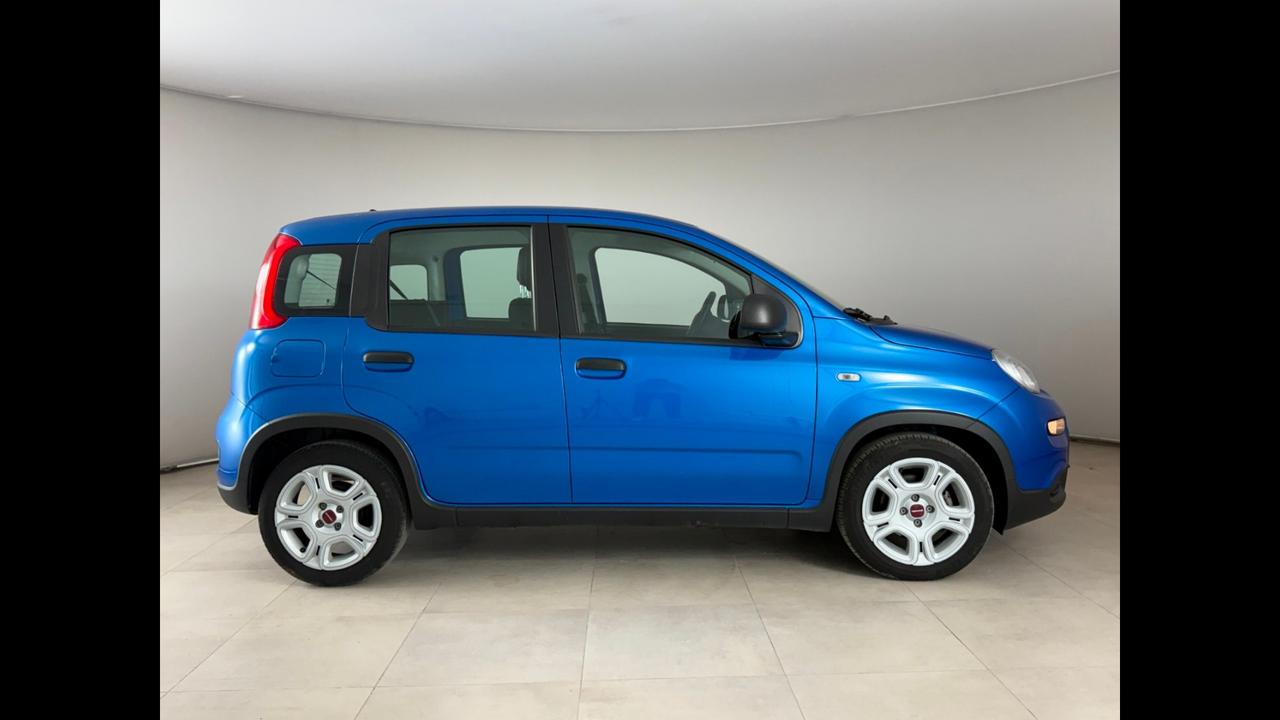 FIAT Panda III 2021 - Panda 1.0 firefly hybrid s&s 70cv