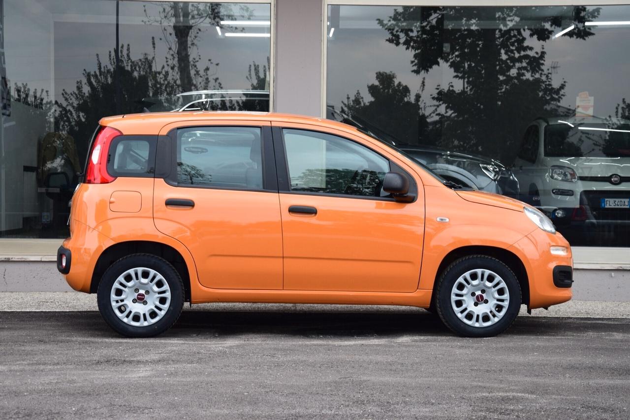 FIAT PANDA 1.2 benzina