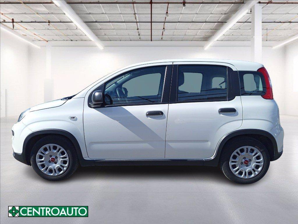 FIAT Panda 1.0 firefly hybrid s&s 70cv del 2024