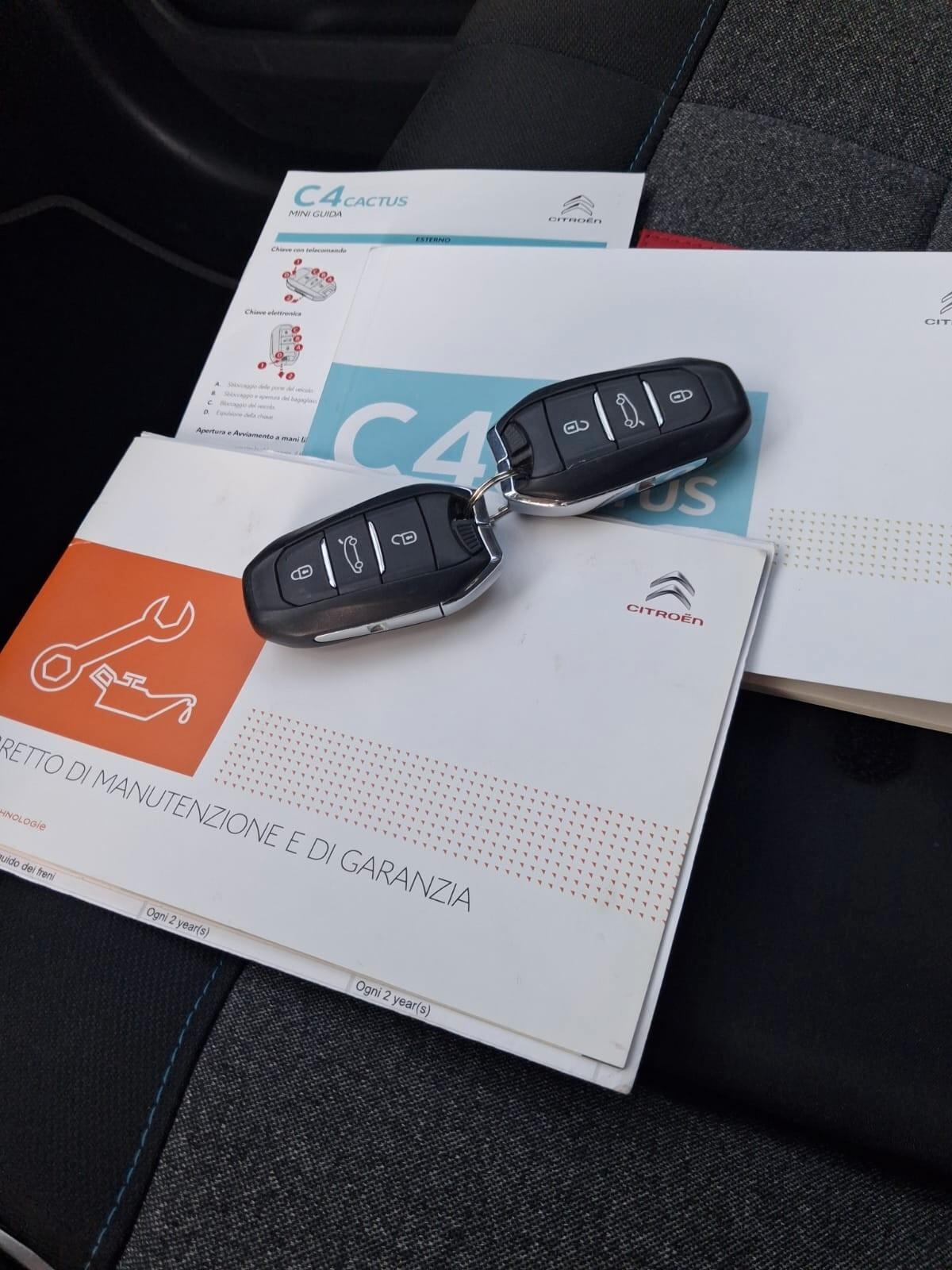 Citroen C4 Cactus BlueHDi 100 S&S Shine 2018