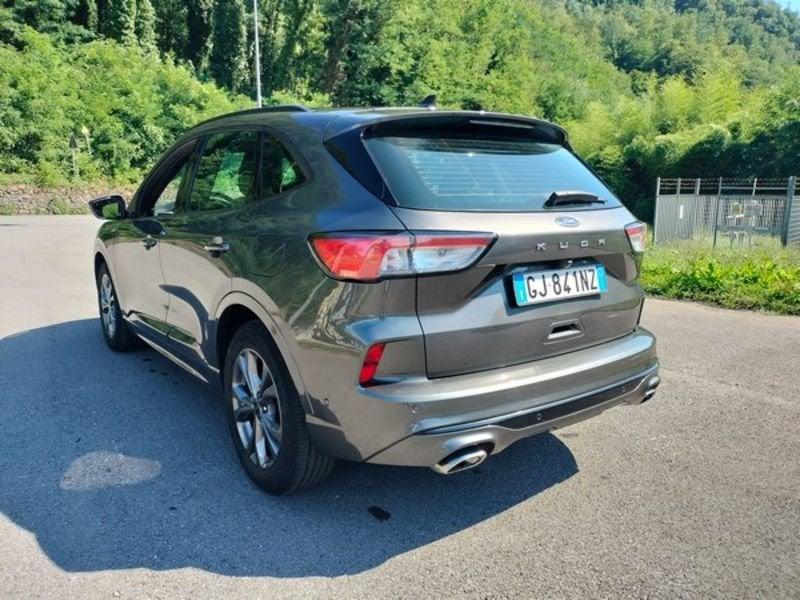 Ford Kuga Kuga 1.5 EcoBlue 120 CV 2WD ST-Line