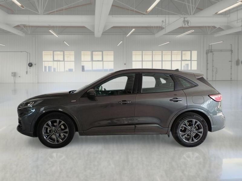 FORD KUGA 1.5 ECOBLUE 120 CV 2WD ST-LINE AUTO SUV