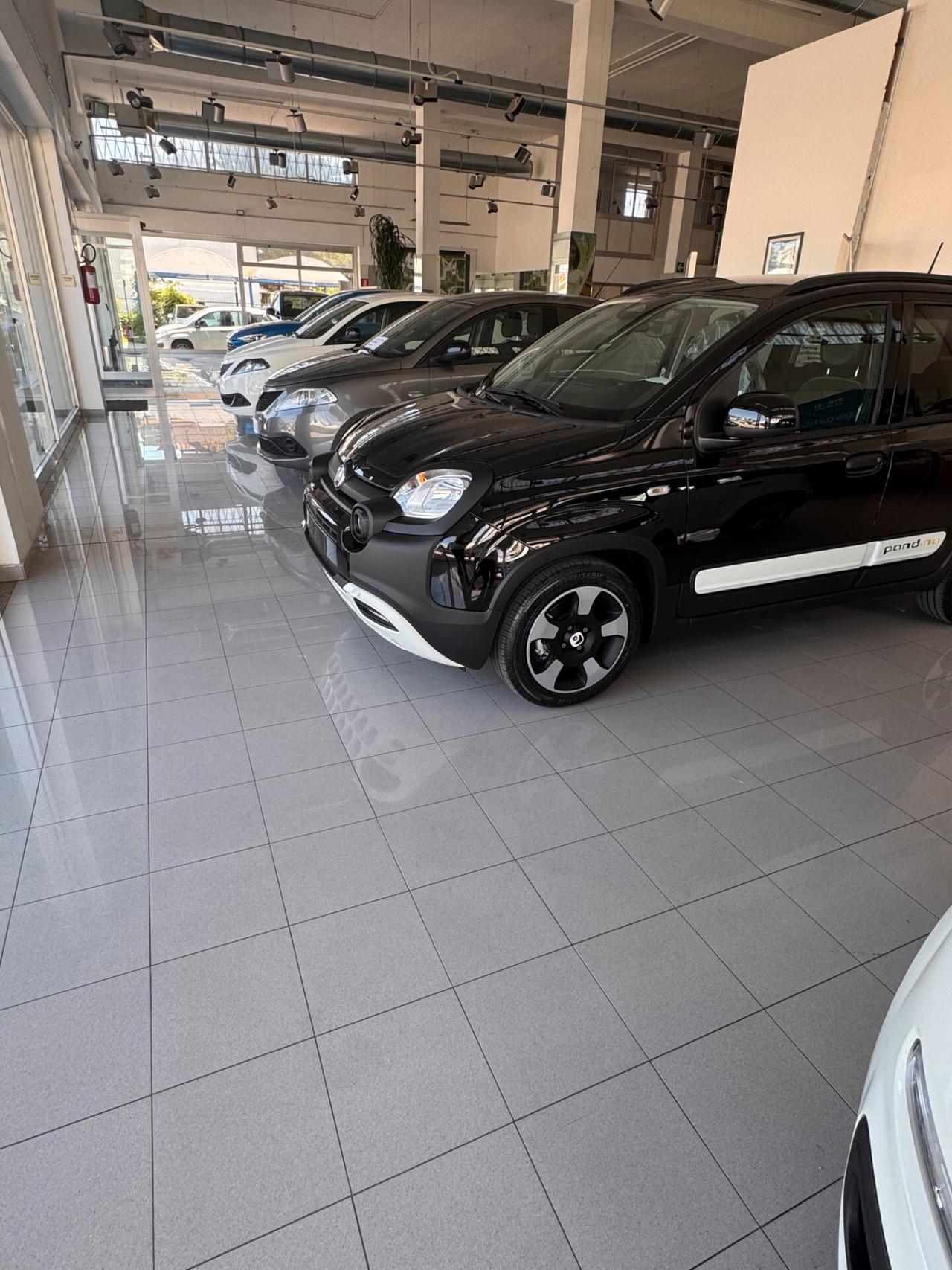 FIAT PANDA 1.2 BZ - EASY